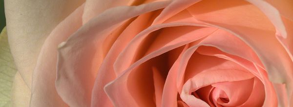 "Ta vie au moment présent"