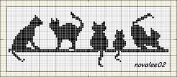 Quand les chats font le mur.