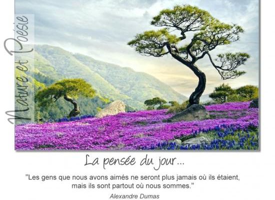 Citations en images : Les gens.....