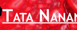 Coup de coeur de novembre 2019