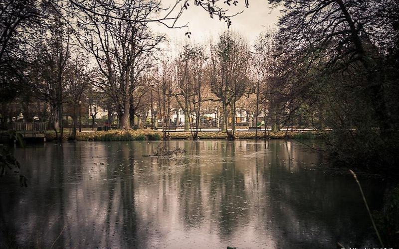 Requiem pour une branche morte.