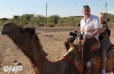 Inde Rajasthan (7) - Désert de Thar