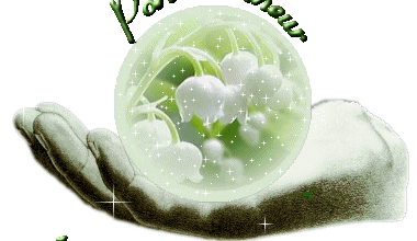 Du muguet..pour un anniversaire...!