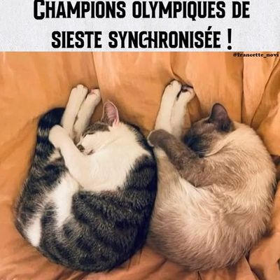 Synchro