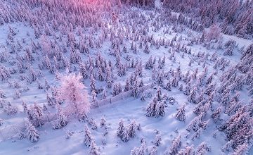 Adieu hiver, je ne t'aime pas ...