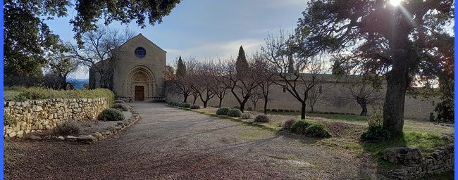 Ganagobie, le monastère et sa forêt
