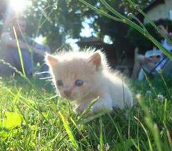 ...^^ Mon Jardin 