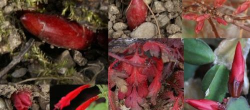Un petit coup de rouge ?