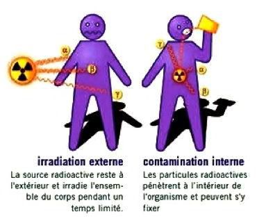 Le nucléaire : effets biologiques des rayonnements ionisants. (1)