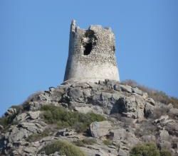 Il Pulcino in Sardegna