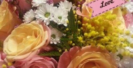 Happy Valentine's Day !
