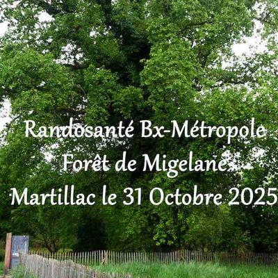 Dernière randonnée à Martillac, le 31 octobre 2025