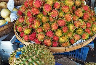 Siem Reap: ses arnaques, ses marchés et ses temples... la base quoi !