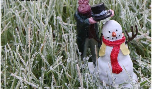 Bonhomme de neige au jardin