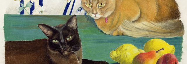 Tableau de chats 266 : Chats avec fruits