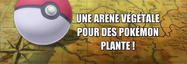 Pokémon - 18x10 - Une Arène végétale pour des Pokémon Plante !