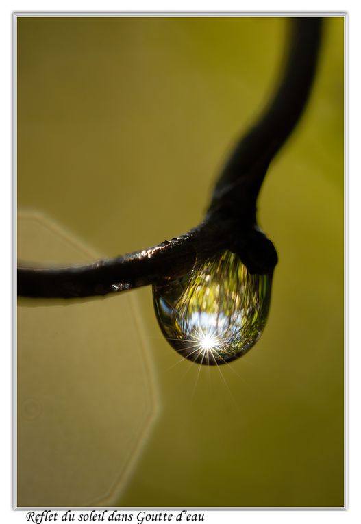 02 - Gouttes d'eau