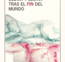 SUDOR Y LLUVIA TRAS EL FIN DEL MUNDO JOSE LUIS DIAZ CABALLERO ePub gratis
