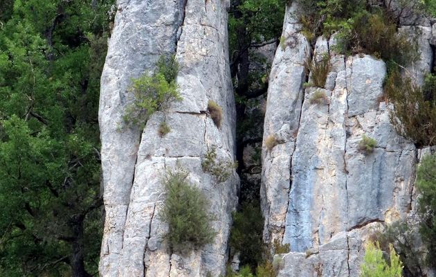 les basses gorges du Verdon -6/6