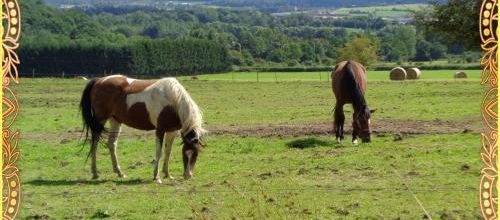 Ma photo préférée du 30 mars