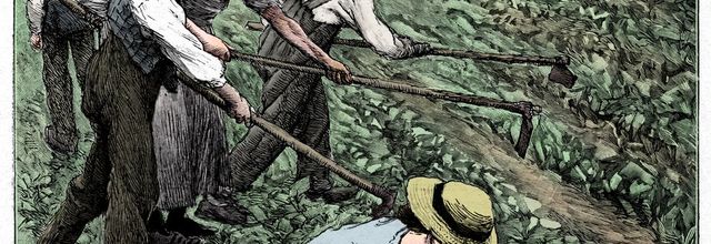 Mercredi - Les enfants au travail (7)