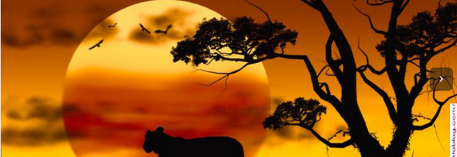LES ANIMAUX D AFRIQUE: tout sur un Genially