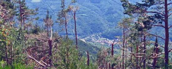 Âpre est ce Vallespir....