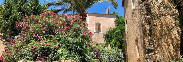 Dans les ruelles de Pigna - Corse