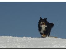 Un petit retour sur la neige...