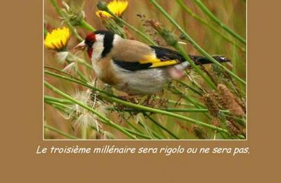 De gentils messagers...