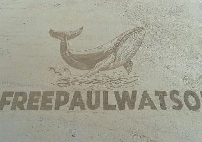 Free Paul Watson