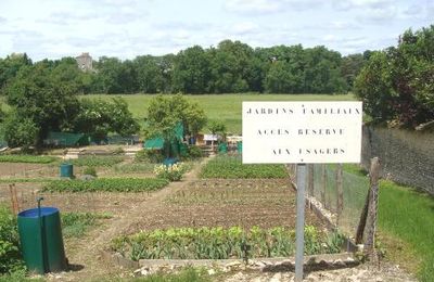 Les jardins familiaux du Petit Versailles