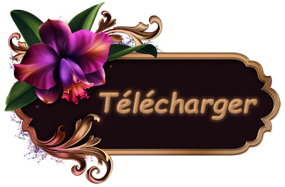 telécharger