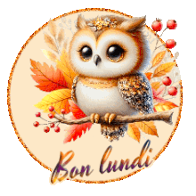 jours de la semaine chouette automne