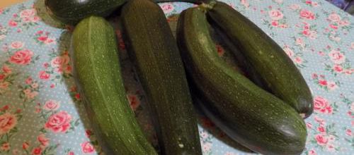 Des courgettes et deux concombres