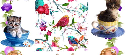 OISEAUX FLEURS CHATONS