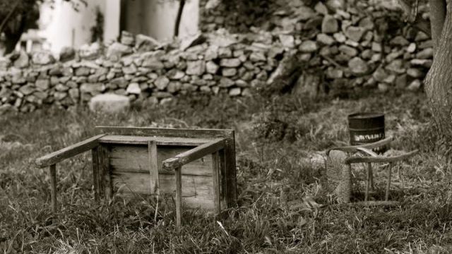 Il y a des Jardins... et Fleurs du Vendredi