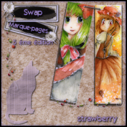 5e swap marque-page