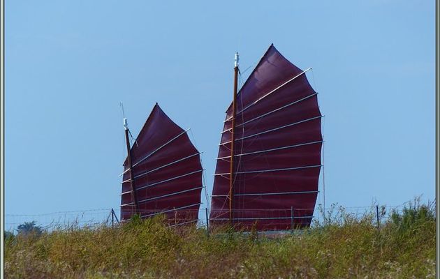 Mer de Chine ? Non, le Fier d'Ars avec la jonque Pa Yeng - Ars-en-Ré - Île de Ré - 17