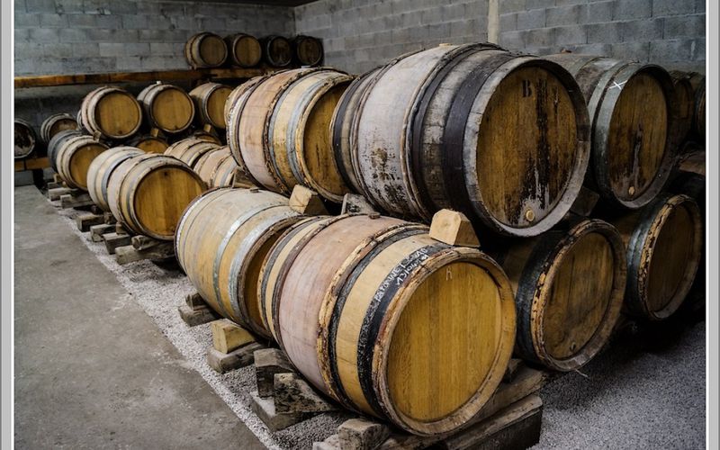 In vino veritas... et in tonneau!