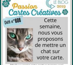 Passion cartes Créatives#608 !
