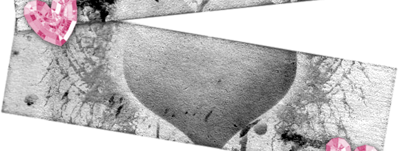 ✂ Label
