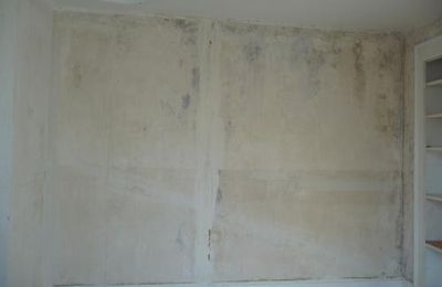 Papier peint chambre Iris