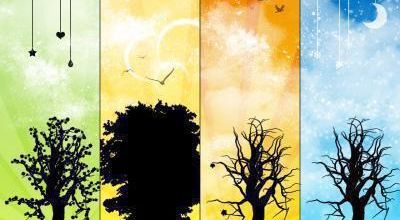 Le symbolisme des arbres