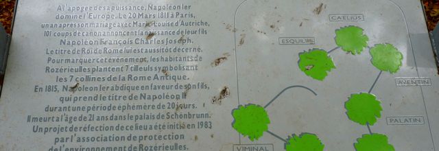A la recherche du Hêtre des Batailles à Châtel- Saint-Germain