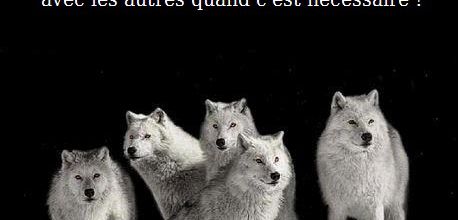 Sois fort assez pour rester seul