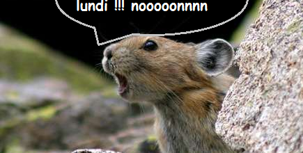 Quand u réalises que c'est bientôt la fin...