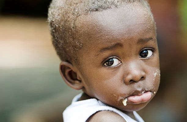 L’Afrique noire pour les nuls