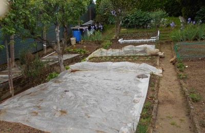jardinage en Mai , 15,16 et 17 jours Fruits alors on plante......