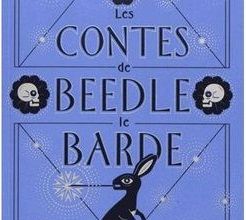 Contes de Beedle le Barde : questionnaire La fontaine de la bonne fortune